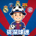 关注五大联赛球队动态的资深球迷头像